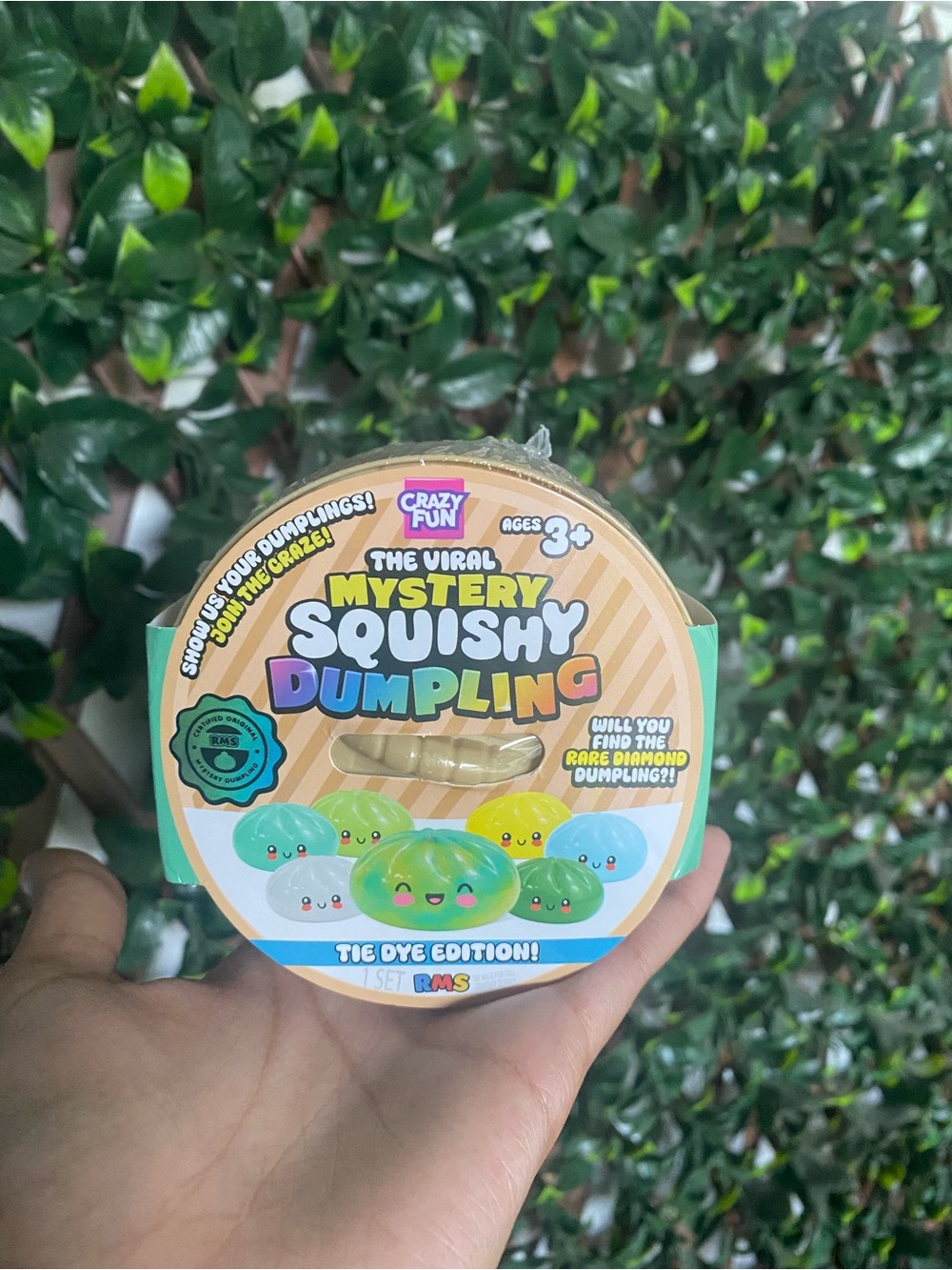 Crazy Fun Mystery Squishy Dumpling - Tie Dye Edition